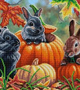 Осінні кроленята 